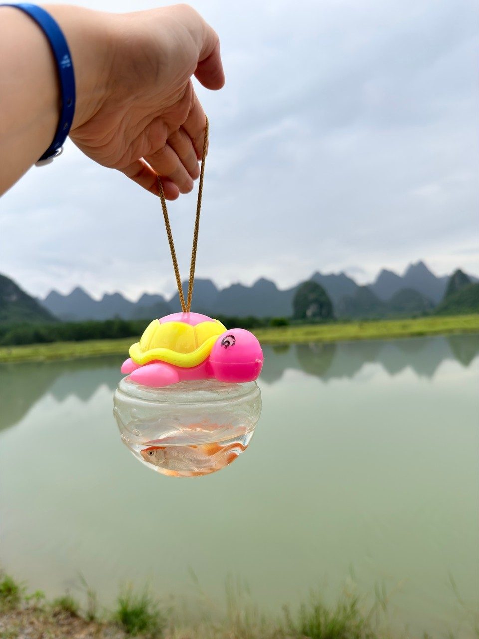 A hand holding a colourful swirl candy on a stick against a calm lake